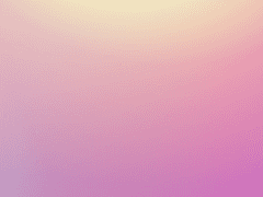 262화 본지 관련