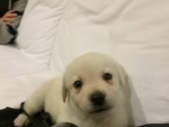 2014년 7월 17일, 18일