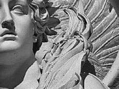 박제가 되어버린 천재를 아는가?