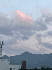 장편 글 모음집