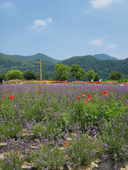 기타 여러 가지 글 (외전 포함)