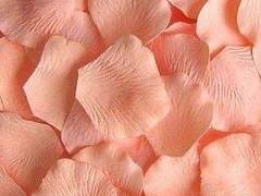 찬란 무결 천사