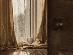 어느 여름날의 오후 -5-