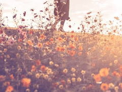 남도양｜인간｜女