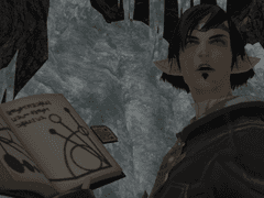 용의 힘과 싸움의 역사