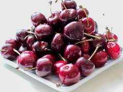 블러섬 샤를 / 21 / 인간