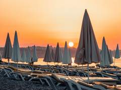 The light of blessing lights up the forest (1)