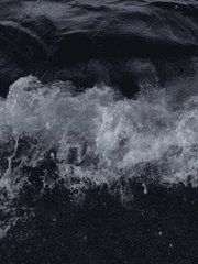 삶을 위한 세레나데