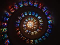 The light of blessing lights up the forest (2)