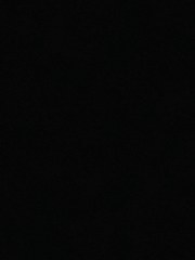 말도안되는 세상에서의 첫번째 고백