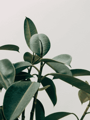 커미션 예시 (실제 상담+샘플)