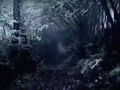 [여름특집] 숲도령 完