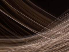 단 하나의 사실은 존재할 것이다.