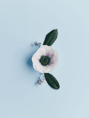 [국뷔/짝사랑공X후회수] Tragic Love