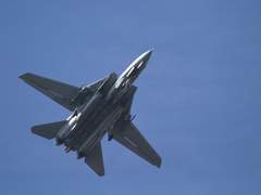 Irene "Spring" Goldstein