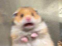 금쪽이가 다른 사람한테 오해 받았을 때 고르기