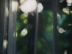 머리 묶어줘도 돼?