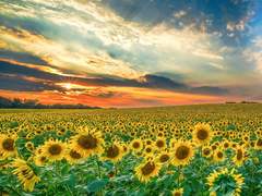 8월의 우리에게 작별인사를 上