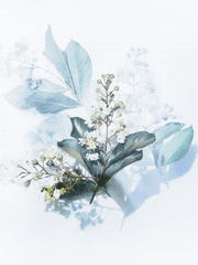 미운 백조 새끼