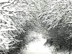 겨울속에서 사는게 편하다.