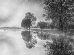 딜라이어트 메이어 | XX | 카스토르 | 혼혈