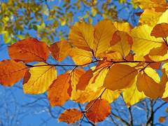 자는 놈 깨워라💤