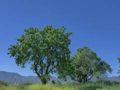 클리셰에 클리셰를 썪어보쟛!