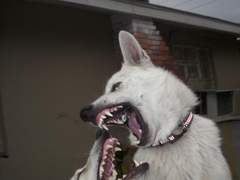 밀실 탈출 보고서