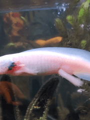 아이디어 스케치? 