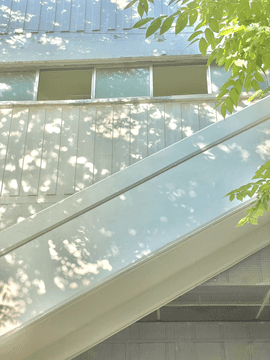 내 트친의 남자들 NPS