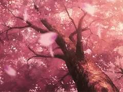 명 일/화산파 2대제자/女