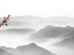 부마의 적인 (敵人) 2