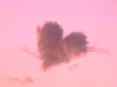 그 남자를 길들이는 방법