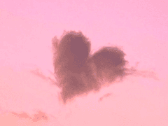 모든 연인들을 위하여