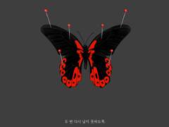 [치트패치] Pink Spider