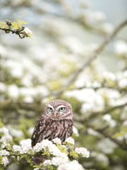 적어도 환각 너머에서라도
