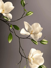 [드림]{마르코 & 나히} 목련의 향기 