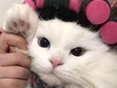 엔시티나페스추천_17