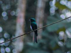 떨어져나간 겉張, 題目도 없는 冊. 나는 一平生 나라는 冊을 읽어내려고 專力을 다했습니다.