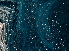 정쿱: 육지에서 인어는 목소리를 잃지만