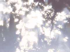 창고 개방 행사 2