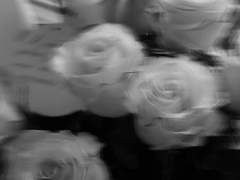 우리에게 아가미가 있다면