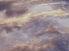 어느 여름날의 오후 -6-