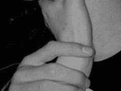 치정 복수 센티넬 Pro