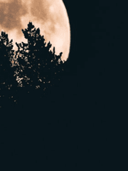 판타지의 판타지의 판타지