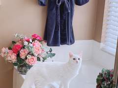 화원 나들이와 좀비식물