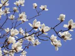 사람들은 때때로 기록을 남긴다. (1)