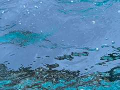 자정. 그리고 트이는 시야.