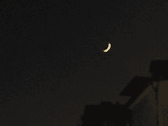 아득한 이별마저