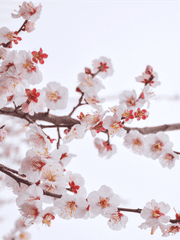 화산에 얽힌 이야기